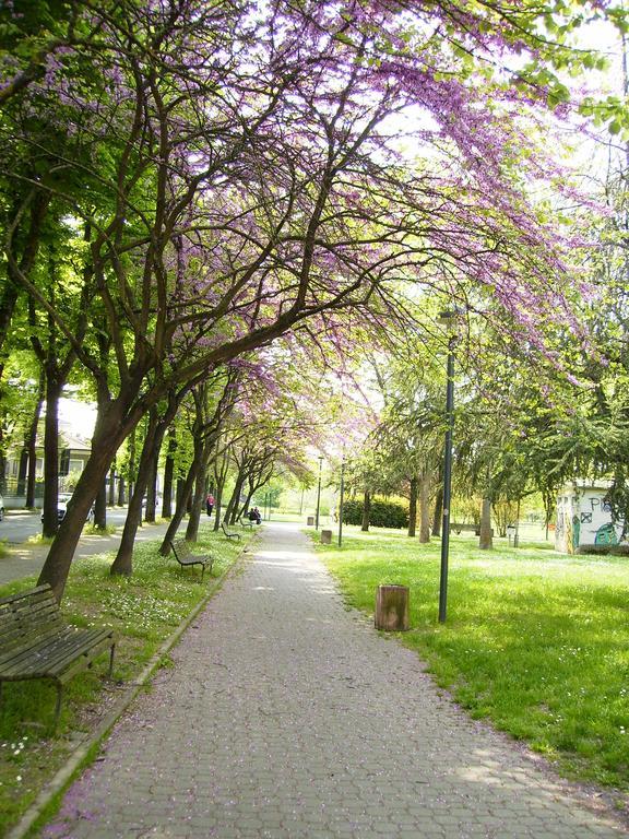 I Tigli Guest House Plasencia Exterior foto